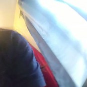 Lucysunflower Saturday Morning Poops Lucy SunFlower