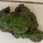 Elurasavage Crotchless Fishnet Poop