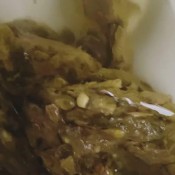 Elurasavage Horny Toilet Poop