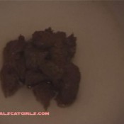 Naturalscatgirls 231 Pooping Girls