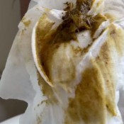 Niquenasty I Was Ready