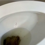 Niquenasty I Was Ready