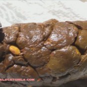 Naturalscatgirls Clip795