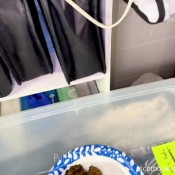 Pulsiferpaprocki Breakfast Express Pulsifer Paprocki