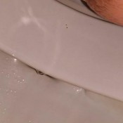 Kittyskatt Three Huge Hairy Public Shits Kitty Klitt