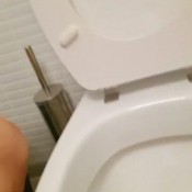 Sweet_lily_84 Scat 317 Sweet Lily