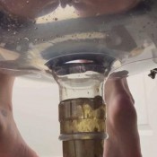 Ceres_shits Human Toilets First Malfunctioninfinite Shit Down Your Throat Goddess Ceres