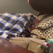 Deep_impact Egg Farts Egg Farts On His Head