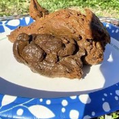 Dropping A Log By A Log Pulsiferpaprocki Pulsifer Paprocki