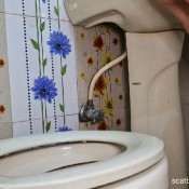 Kittyskatt Four Constipated Logs On The Toilet Kitty Klitt