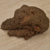 Goldenlace Quiiiiick