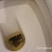 Kittyskatt Huge Thick Asshole Stretcher Kitty Klitt