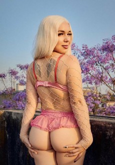 Andromeda Galactea