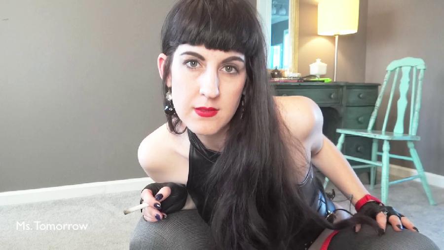 dommetomorrow - dog bitch for my boots