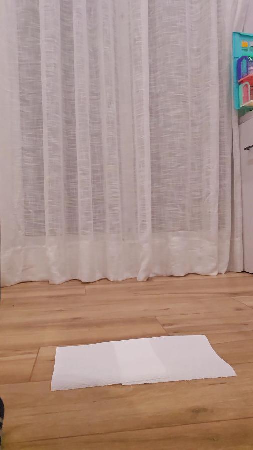 Scat 467 Soft Churro Sweet_lily_84