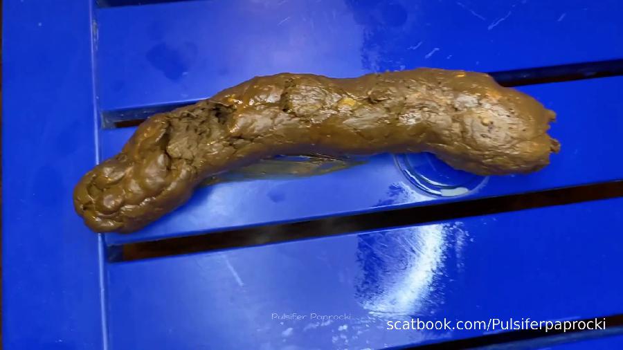 Bulging Butthole - Birthing A Big Hard Shit Pulsiferpaprocki