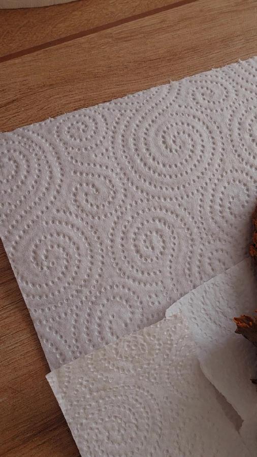 Scat 503 Churros On The Floor Sweet_lily_84 Sweet Lily